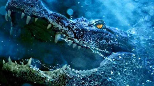 Vì sao cá sấu nuốt mồi dưới nước mà không bị sặc?