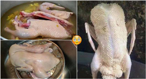 Đun nước thịt vịt cứ cho thêm thứ này, đảm bảo nhổ lông vừa nhanh vừa sạch, lại khử bay mùi hôi