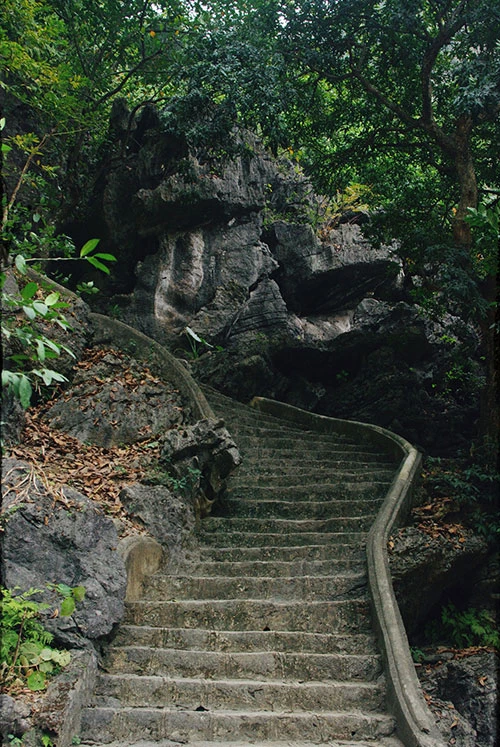 Trên động Am Tiên có chùa Am Tiên cùng tên, phải leo hơn 200 bậc thang đá mới có thể lên đến chùa.