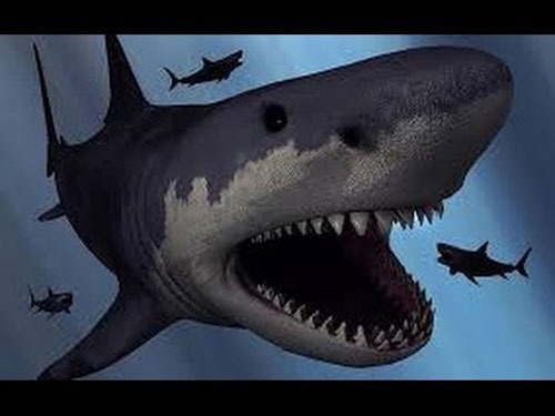 CLIP: Cuộc sống của những 'quái vật biển' nằm sâu dưới đáy đại dương