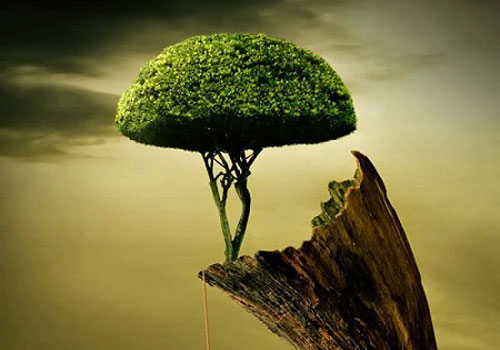 Trắc nghiệm: Phân tích tổng quan các mối quan hệ bạn bè của bạn