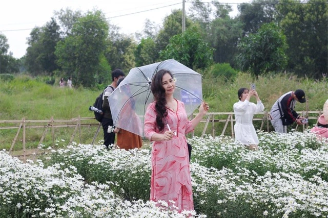 Du khách hào hứng “check – in” vườn cúc hoạ mi đầu tiên tại Đà Nẵng - 8