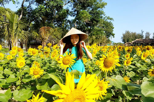 Những điểm check-in hấp dẫn dịp Tết Nguyên đán gần Hội An