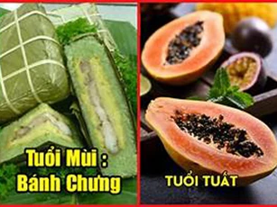 Mùng 1 Tết Canh Tý: 12 con giáp ăn đúng món hợp tuổi là mở cửa đón Tài, làm gì cũng "trúng quả đậm"