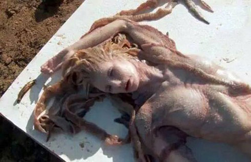 Nàng tiên cá có thật: Những hình ảnh gian dối hay sự thực bí ẩn?