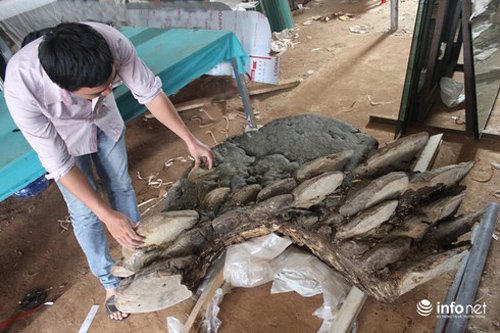 Phát hiện cây nấm lạ nặng hơn 2 tạ, hình thù giống con cóc