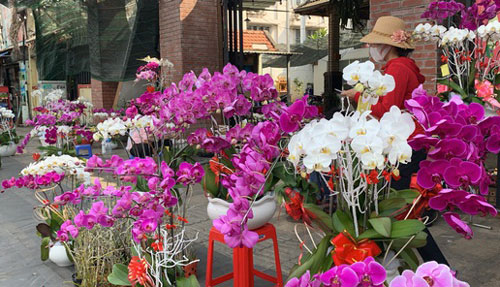 TPHCM: Tiểu thương quyết không giảm giá hoa dù cận Tết