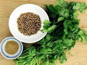 Lưu ý cần tránh khi ăn rau mùi kẻo rước ung thư vào người