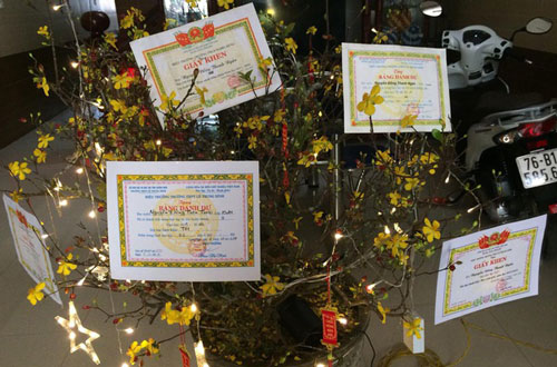 Màn trang trí cây mai ngày Tết để dằn mặt mấy bà hàng xóm vô duyên của hội học trò nhận về 'bão like'