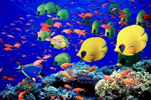 Trắc nghiệm: Tìm đáp án chuẩn cho câu hỏi 'bạn là ai' với bài test đơn giản