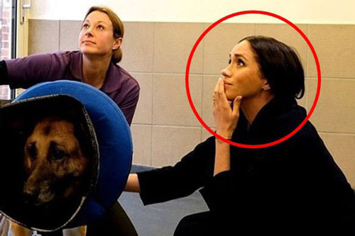 Meghan đăng tải hoạt động mới sau một thời gian im hơi lặng tiếng nhưng bị dân mạng ném đá vì làm màu quá đà, ganh đua với chị dâu