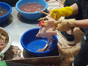 Hải Dương: "Hốt bạc" từ dịch vụ mổ gà thuê ngày Tết