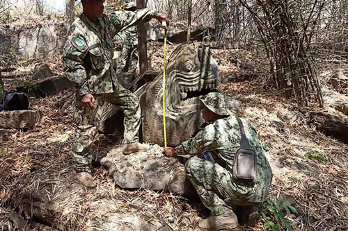 Phát hiện tượng quái vật biển cổ xưa 1.500 năm tuổi