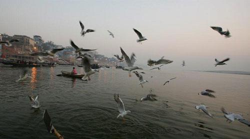 Khám phá đất Phật Ấn Độ