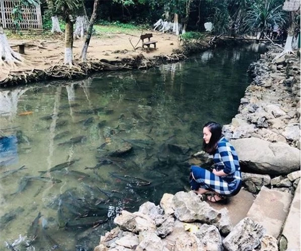 Đàn cá ở đây gồm các loài: cá dốc quý hiếm, cá chài, cá mại... với hình dáng lạ mắt, nhiều màu sắc, mỗi khi bơi thân cá lấp lánh ánh bạc rất đẹp, mỗi con có thể nặng từ 2kg đến 8kg, đặc biệt cá chúa ở suối cá thần Cẩm Lương nặng tới 30kg chỉ đôi lần xuất hiện khi nước lớn. Tuy mật độ cá dày đặc nhưng nước suối ở đây không tanh, người dân địa phương vẫn thường nấu ăn bằng nước suối này. Ảnh: @hoaithuong121094