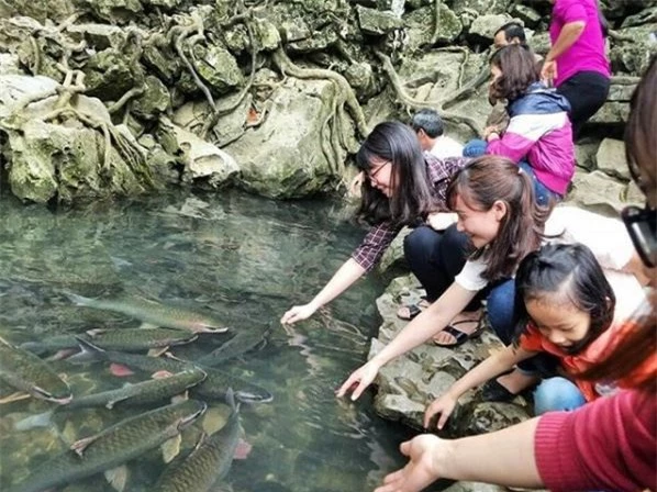 Ngoài chiêm ngưỡng cá thần, du khách đến đây còn có thể khám phá hang động cây Đăng trên núi Trường Sinh, ở độ cao 70m so với mặt đất. Bên trong động là muôn vàn thạch nhũ với sắc màu lấp lánh, và lòng động sâu thẳm như không có điểm tận cùng.