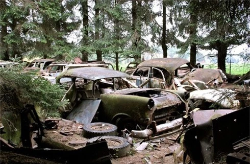 Rùng rợn nghĩa địa ô tô 70 năm tuổi của lính Mỹ ở Bỉ - ảnh 12