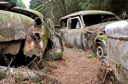 Rùng rợn nghĩa địa ô tô 70 năm tuổi của lính Mỹ ở Bỉ - ảnh 14