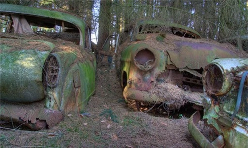 Rùng rợn nghĩa địa ô tô 70 năm tuổi của lính Mỹ ở Bỉ - ảnh 3