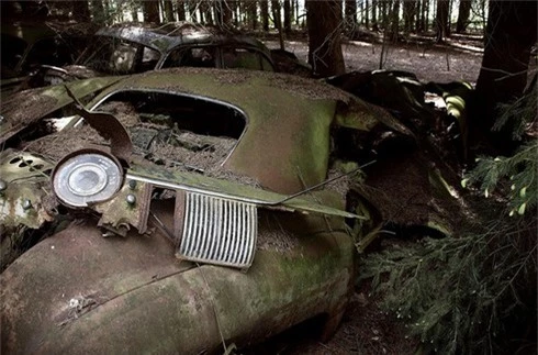 Rùng rợn nghĩa địa ô tô 70 năm tuổi của lính Mỹ ở Bỉ - ảnh 7