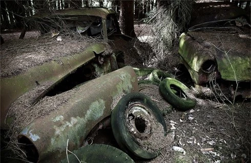 Rùng rợn nghĩa địa ô tô 70 năm tuổi của lính Mỹ ở Bỉ - ảnh 9