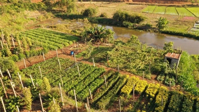 Đầu xuân, thiếu nữ đua sắc cùng hoa tam giác mạch xứ Bắc giữa lòng phố núi - 11