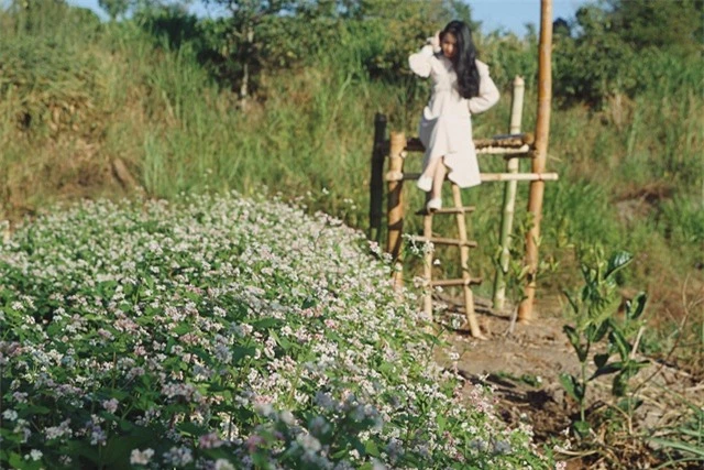 Đầu xuân, thiếu nữ đua sắc cùng hoa tam giác mạch xứ Bắc giữa lòng phố núi - 6