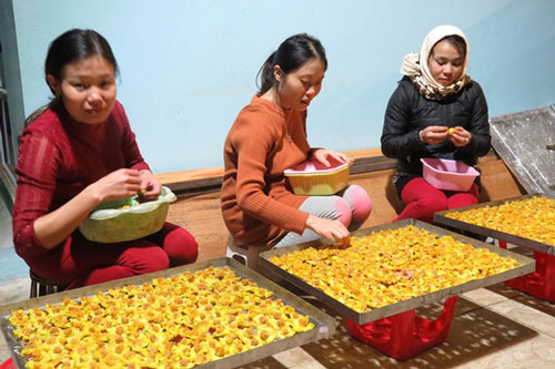 Từ loài hoa vô danh trở thành trà hoa vàng "hút" khách