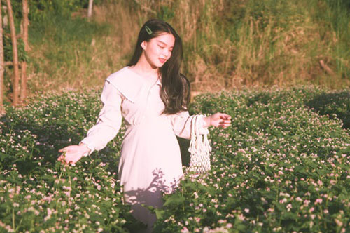 Đầu xuân, thiếu nữ "đua sắc" cùng hoa tam giác mạch xứ Bắc giữa lòng phố núi