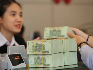 Hà Nội thu hồi 2.000 tỷ đồng nợ thuế trong 1 tháng