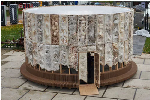 Ngôi nhà phủ nấm thân thiện với Trái Đất: nấm càng tươi tốt, nó càng hút thêm nhiều CO2 khỏi không khí