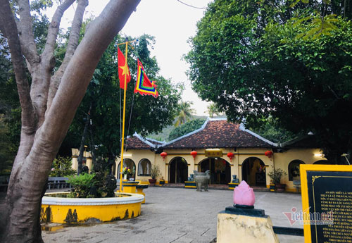 Huyền thoại về ba cây thị hơn 200 năm tuổi ở Côn Đảo