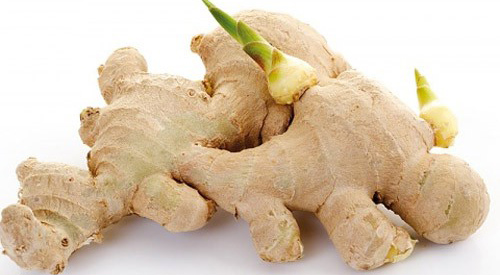 Những loại rau củ mọc mầm "độc hơn thạch tín", mẹ đừng tiếc của nấu nướng kẻo rước bệnh cho cả nhà