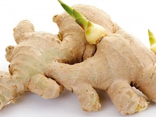 Những loại rau củ mọc mầm "độc hơn thạch tín", mẹ đừng tiếc của nấu nướng kẻo rước bệnh cho cả nhà