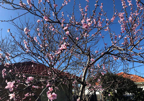 Đã ly hôn, tôi vẫn bị nhà chồng cũ trách không gửi tiền biếu Tết