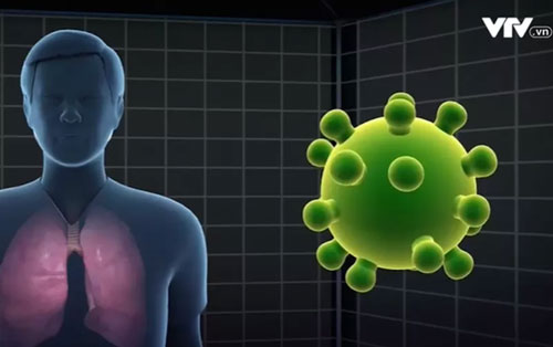 3 người Việt nhiễm virus Corona đã tiếp xúc với nhiều người