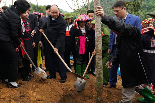 Thủ tướng phát động Tết trồng cây