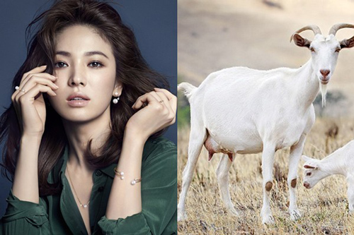 Năm Canh Tý 2020: 3 con giáp tháng 1 đạp trúng hũ vàng, tháng 2 bước vào hũ bạc, cuối năm rủng rỉnh