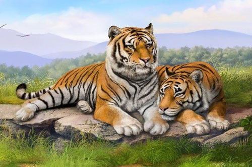 Sau ngày Vía Thần Tài, con giáp này bỗng giàu bất thình lình, tiền tiêu không hết