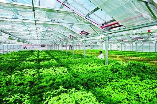 Doanh nghiệp sẽ là hạt nhân tiếp tục dẫn dắt nông nghiệp