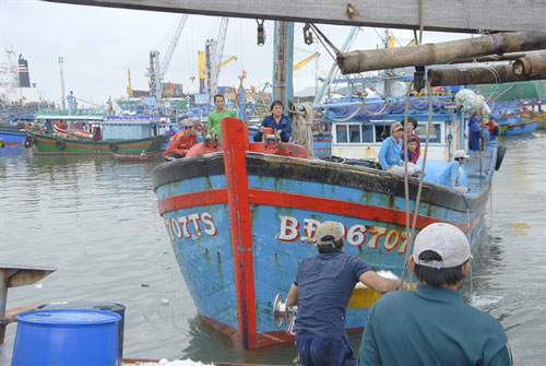 Bình Định: Nhiều tàu cá trúng 'lộc biển' đầu năm