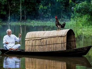 Người thông minh có 3 điều không hỏi, người ngu ngốc cứ hỏi hoài, bảo sao đời khổ cực