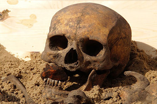 Bí ẩn về bộ xương ma cà rồng