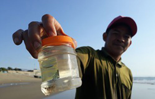 Ninh Thuận: Ngư dân kiếm tiền triệu trong vòng vài giờ nhờ “lộc biển”