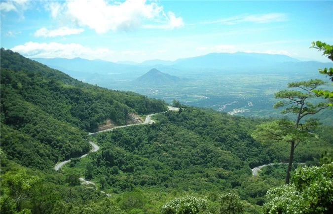 Nhung con deo hiem tro nhung nhin la me tai Viet Nam-Hinh-2