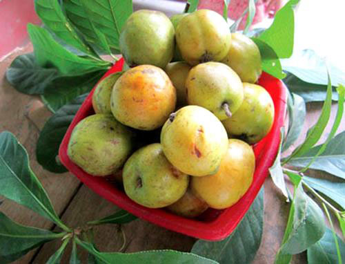 6 loại trái cây bà bầu nên hạn chế ăn vì có thể gây sảy thai, sinh non