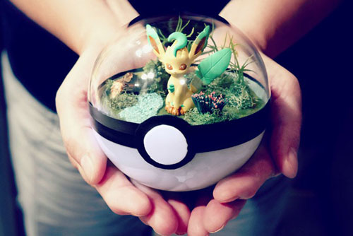'Mê mẩn' với những quả cầu Pokemon đẹp long lanh