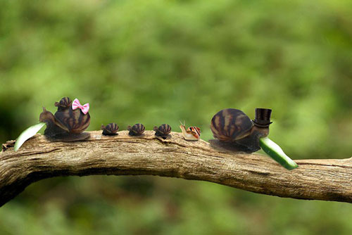 'Cười rụng rốn' với bộ ảnh về 'cuộc tình' của ốc sên ăn dưa chuột