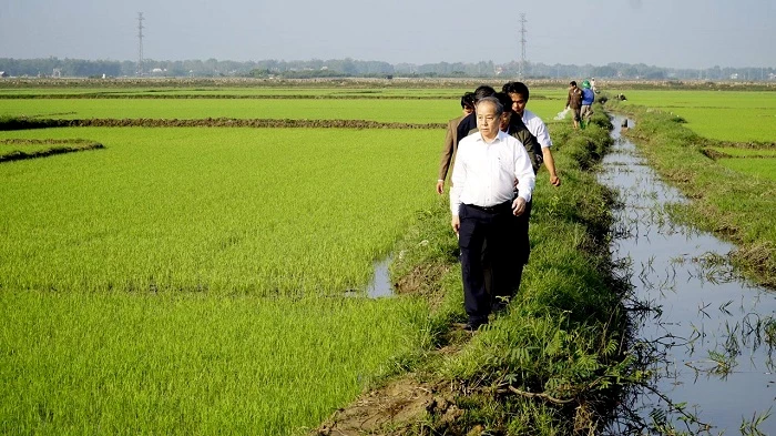 Chủ tịch UBND tỉnh Thừa Thừa Huế ra đồng thăm hỏi nông dân sau Tết Nguyên đán