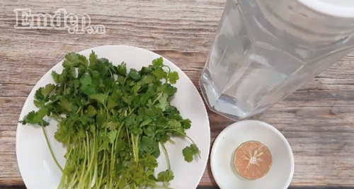 Ăn Tết thả phanh, hết nghỉ lễ vẫn eo thon, dáng gọn, 9X Hà thành mách nhỏ tuỵệt chiêu giảm cân chỉ từ loại rau gia vị rẻ tiền này